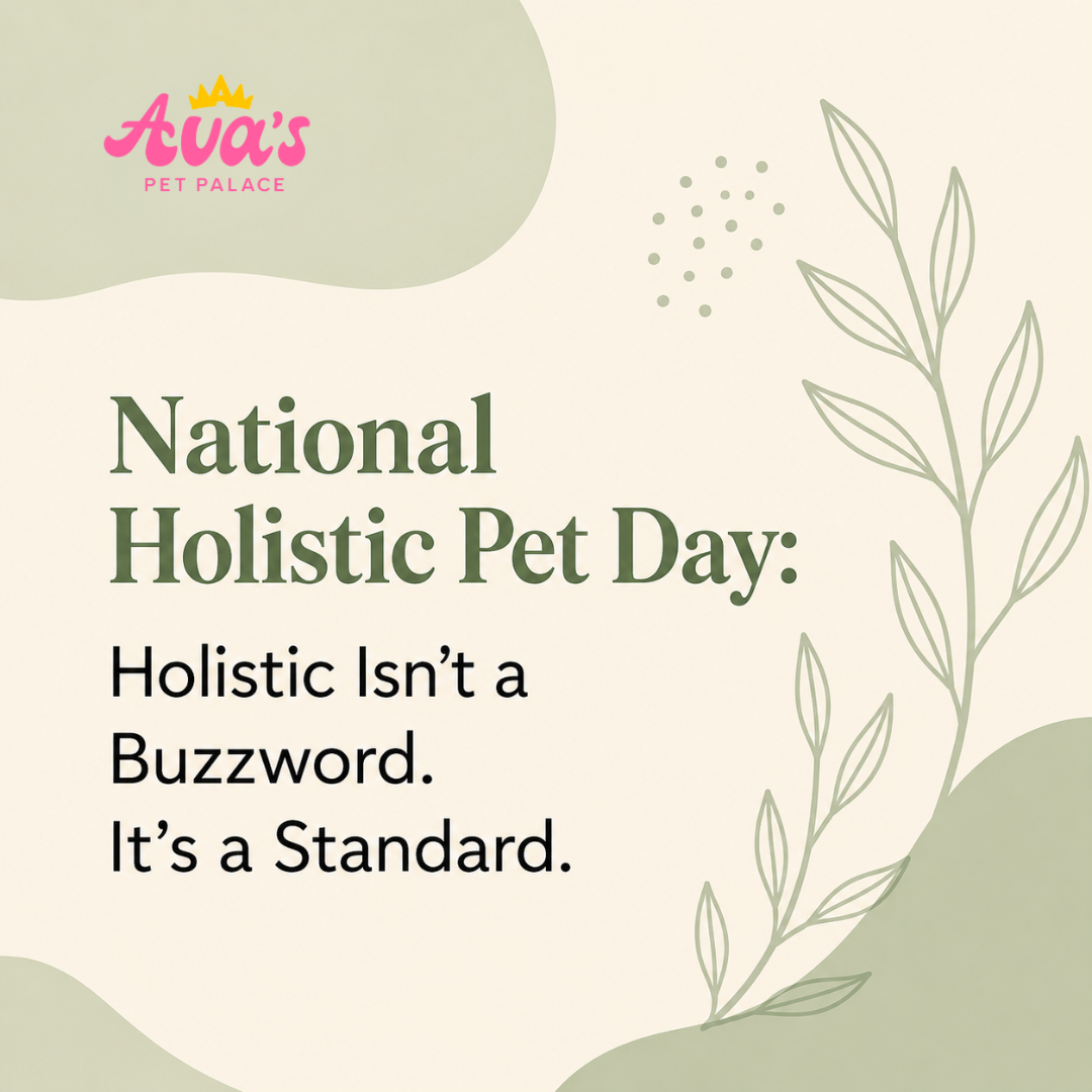 National Holistic Pet Day: Holistic Isn't a Buzzword. It's a Standard.