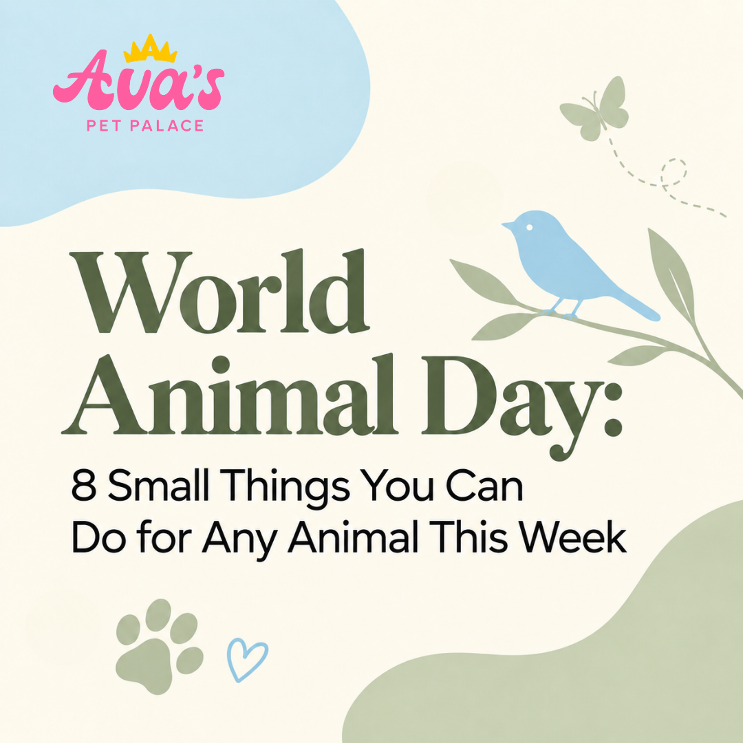 World Animal Day: 8 Small Things You Can Do for Any Animal This Week