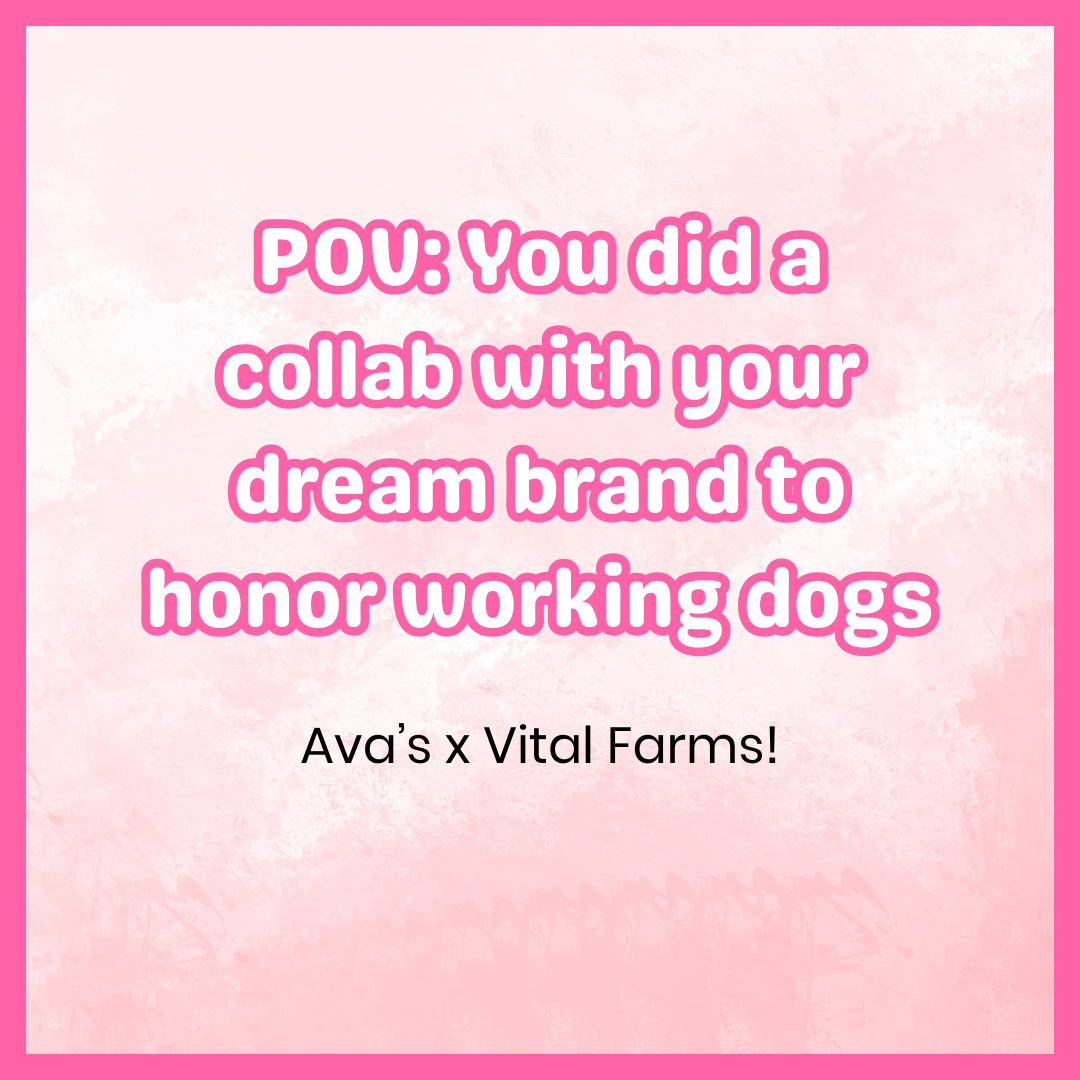 Ava's Pet Palace x Vital Farms