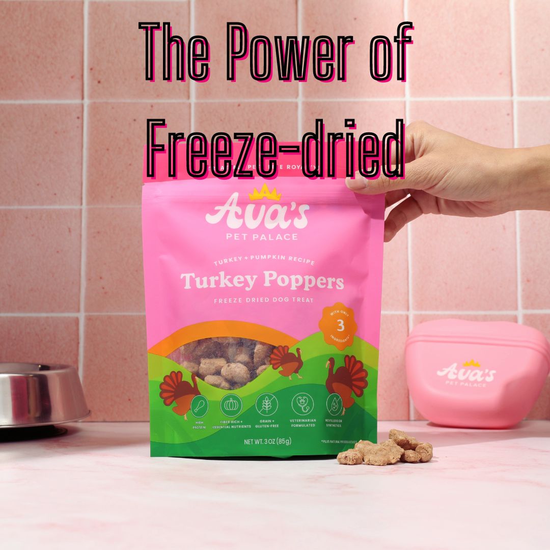 the-power-of-freeze-dried-dog-treats-ava-s-pet-palace