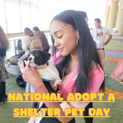 National Adopt a Shelter Pet Day – A Guide to Making a Difference
