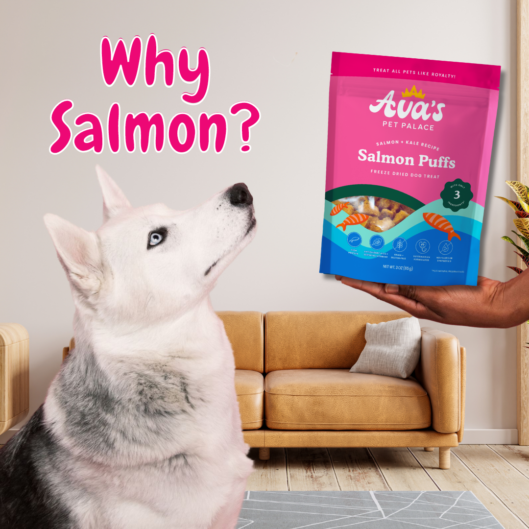 Wild vs. Farm Raised Salmon for your Pets
