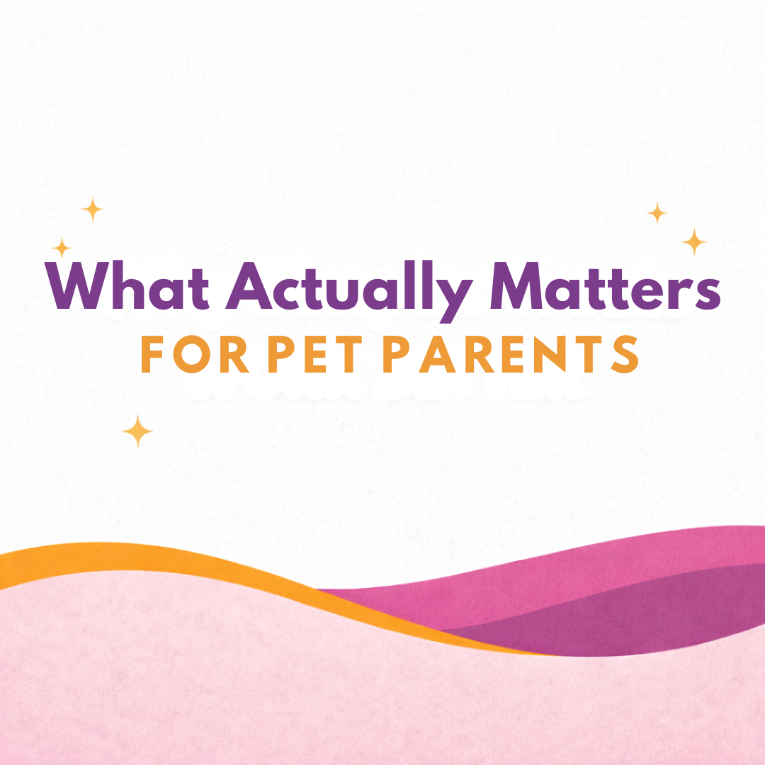 Valentine’s Day for Pet Parents: What Actually Matters