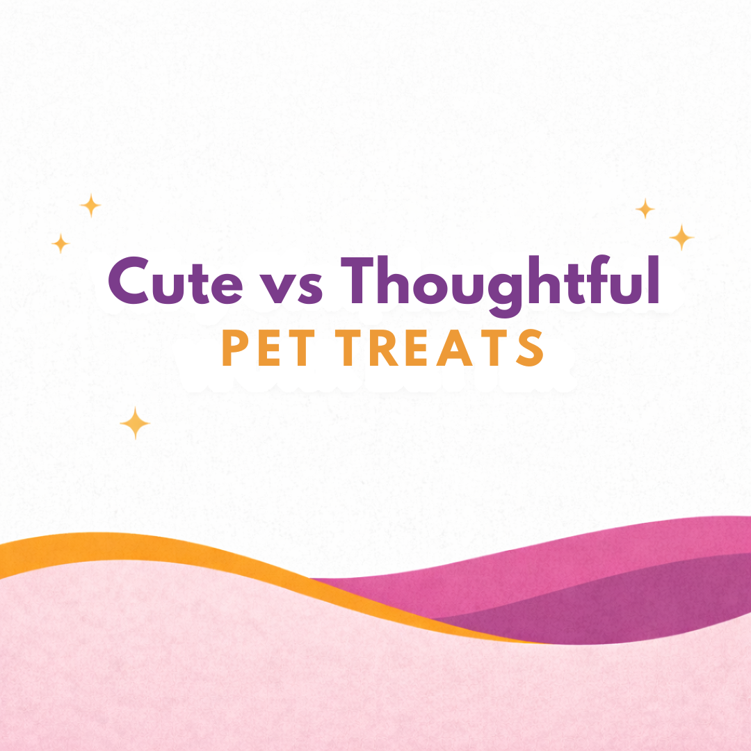 Valentine’s Treats for Pets: Cute vs Thoughtful