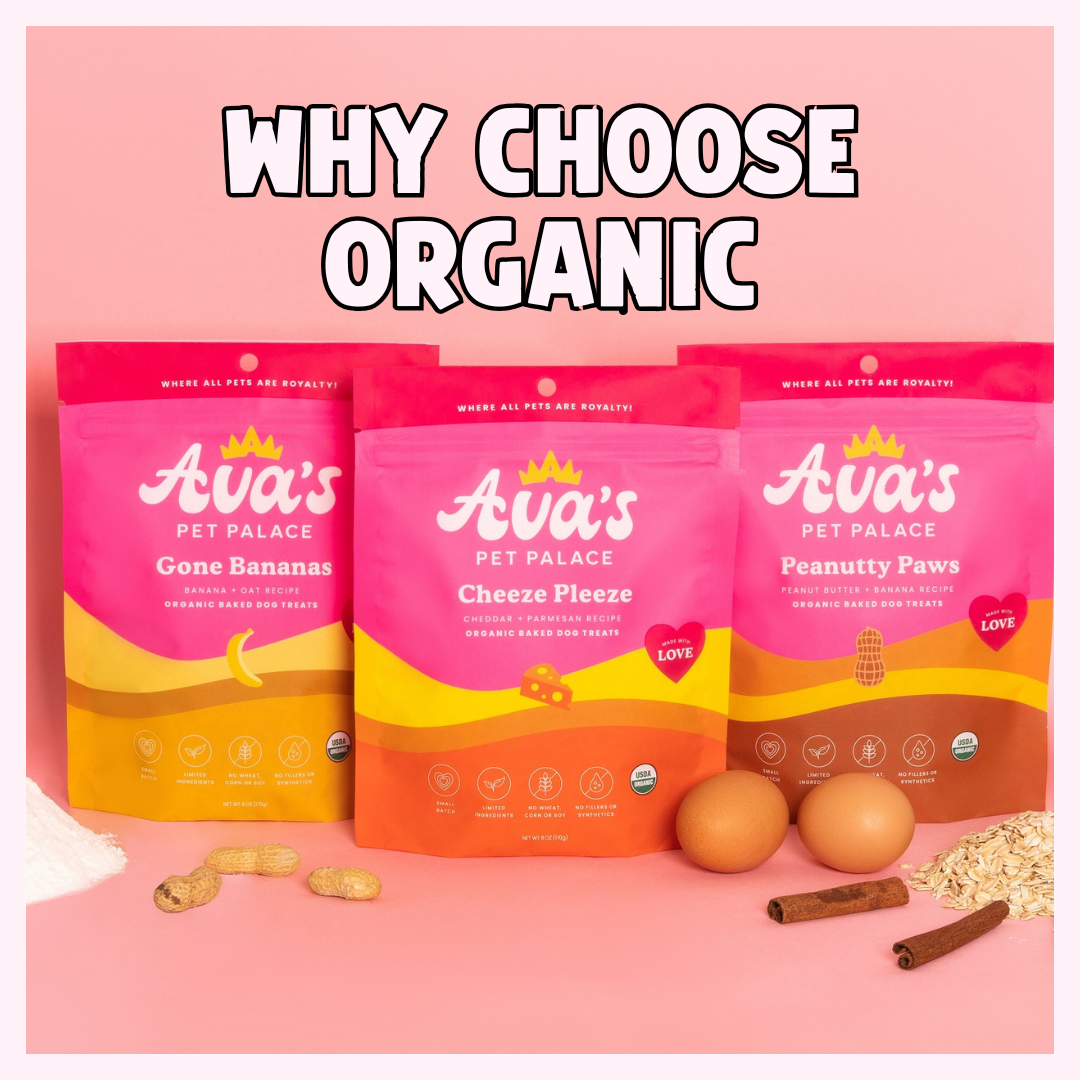 Why Pets Thrive on Organic Treats 🌱🐾