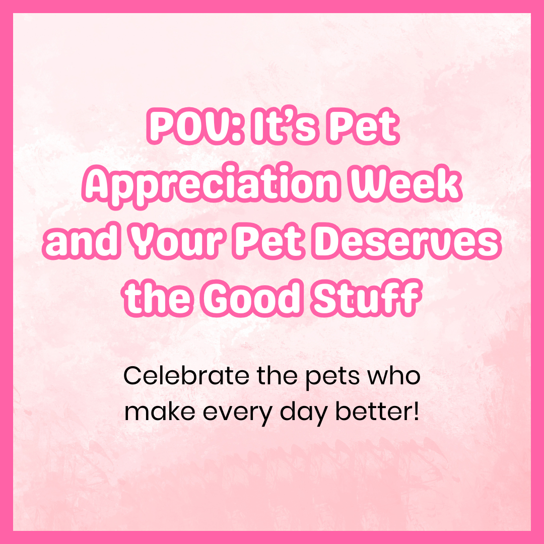 Pet Appreciation Week: 7 Simple Ways to Show Your Pet Just How Much You Love Them