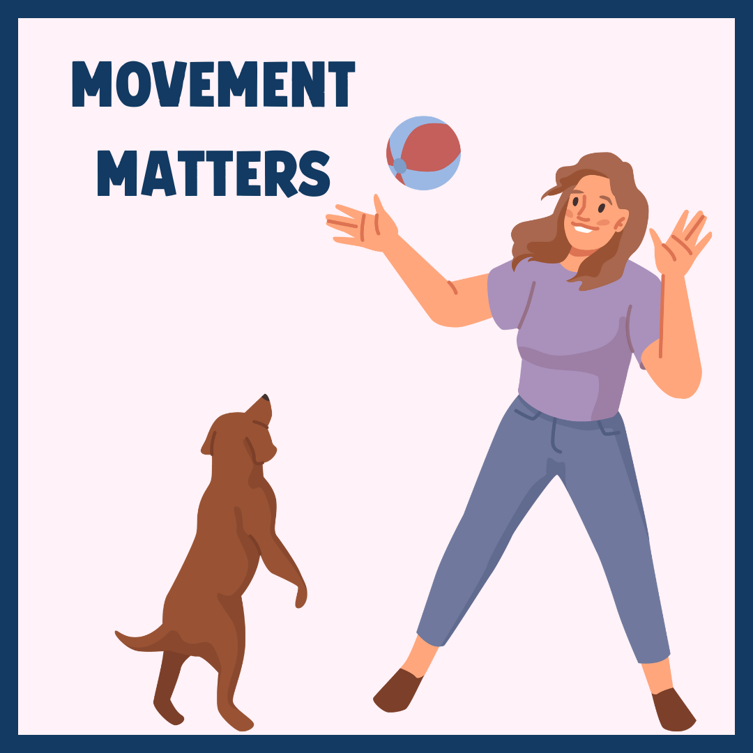Why Movement Matters: The Link Between Exercise and Longevity in Dogs