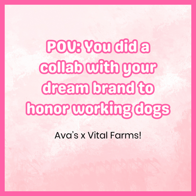 Ava's Pet Palace x Vital Farms