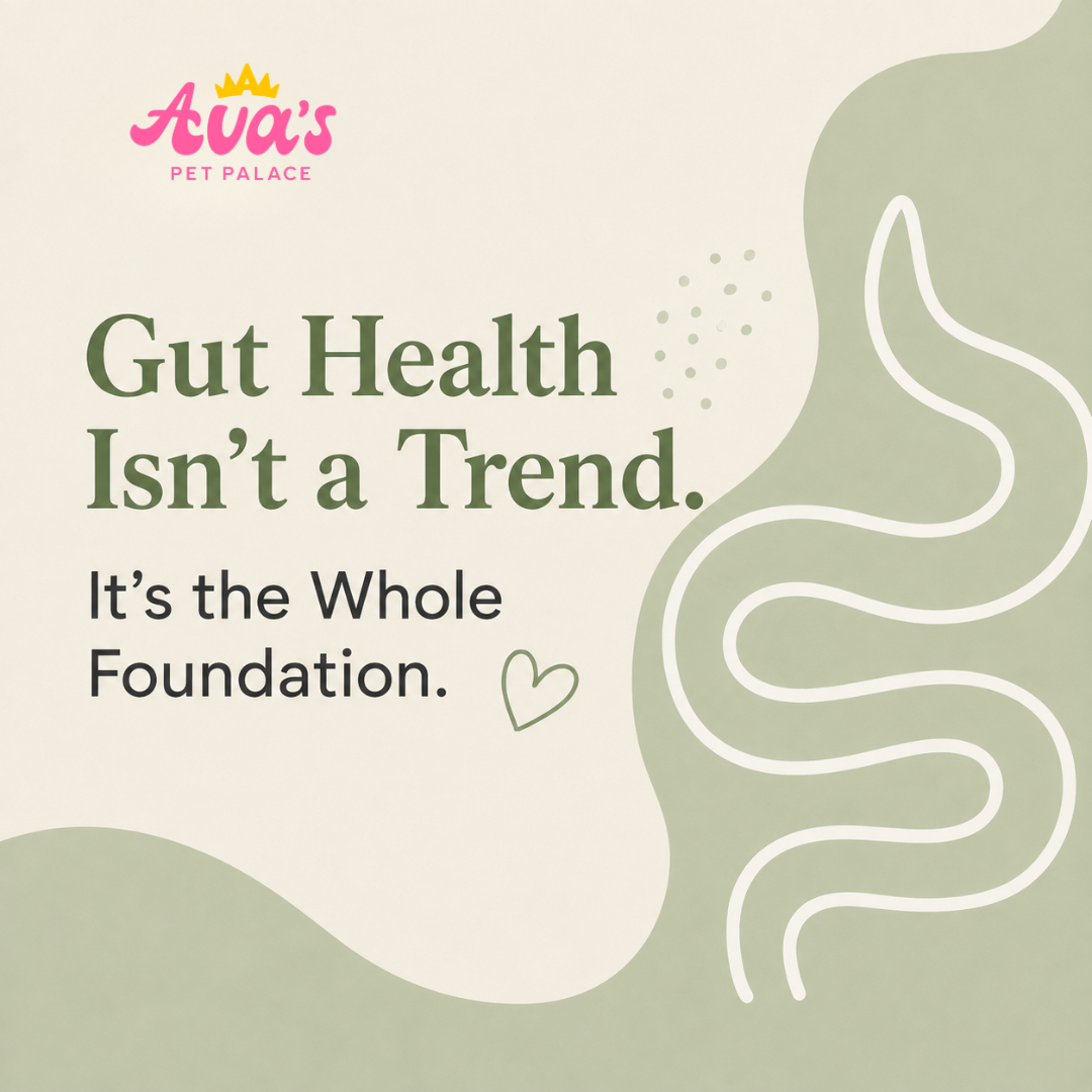 Gut Health Isn't a Trend.