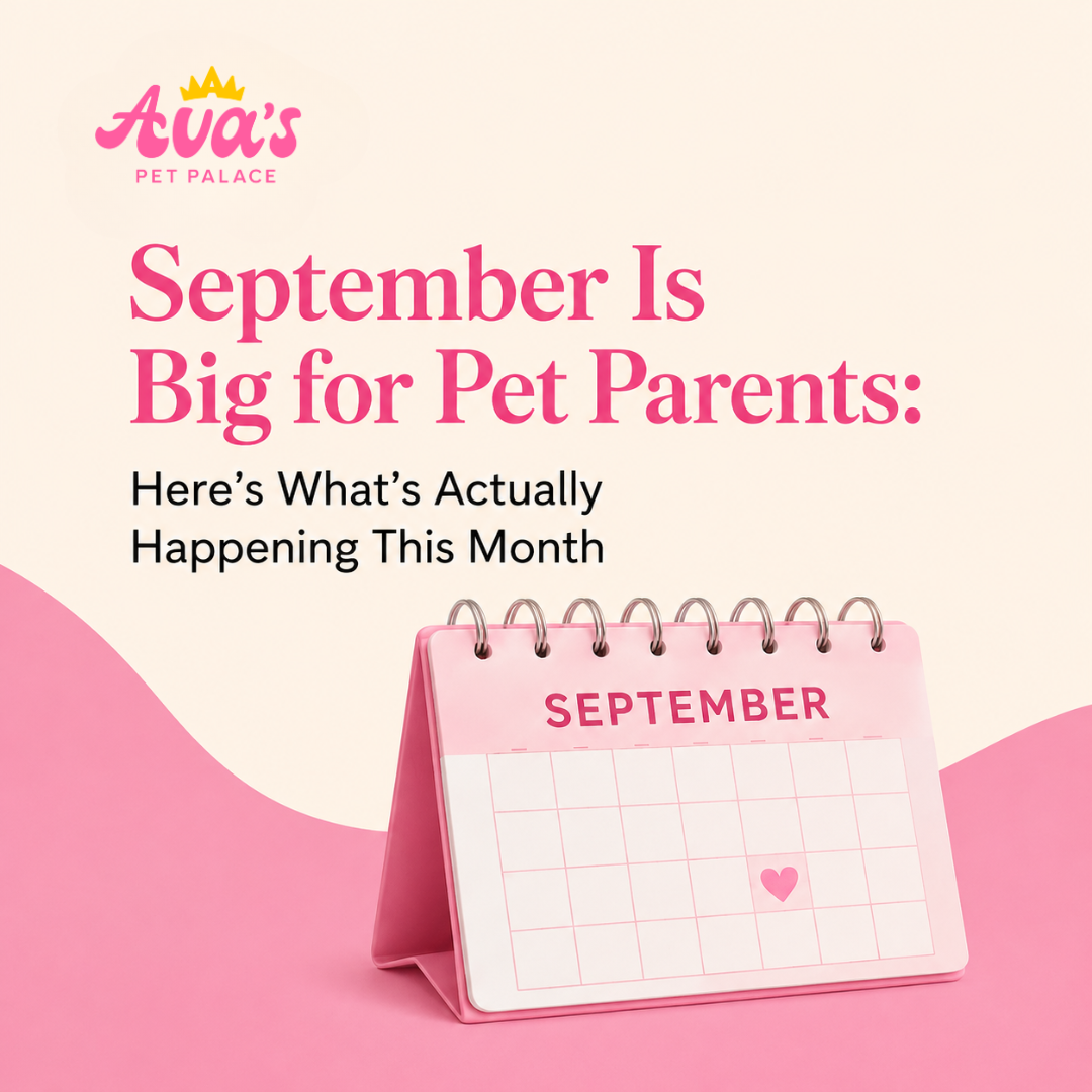 September Is Big for Pet Parents: Here's What's Actually Happening This Month