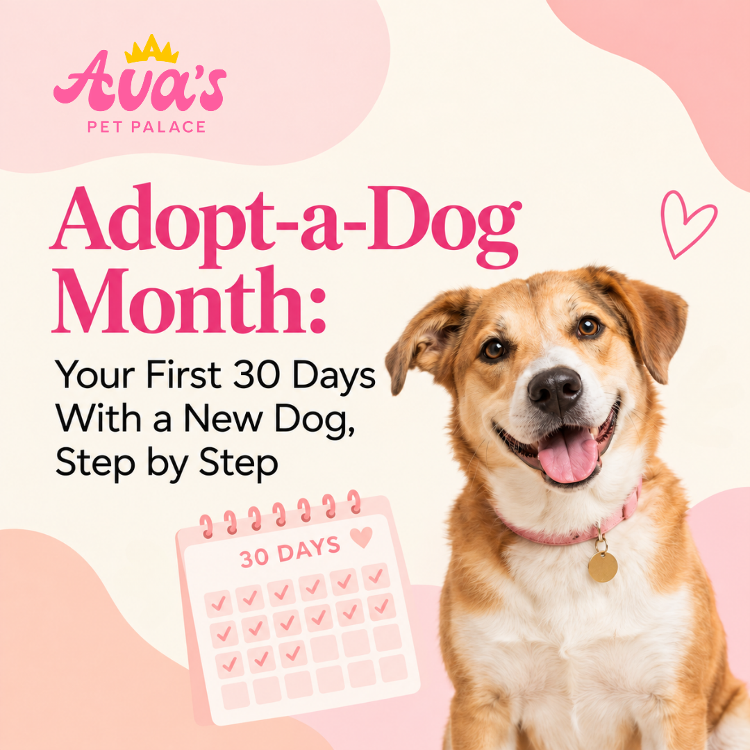 Adopt-a-Dog Month: Your First 30 Days With a New Dog, Step by Step