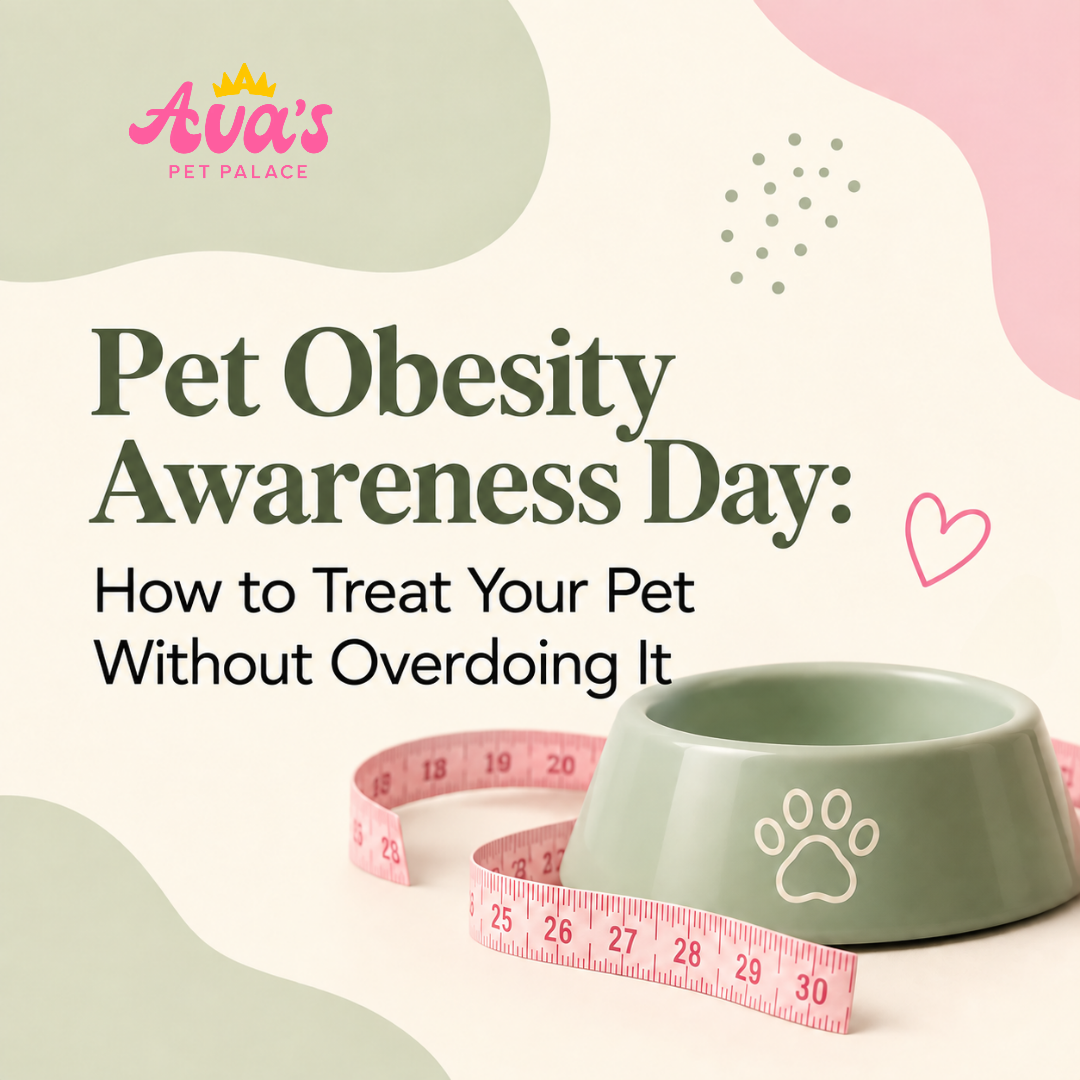 Pet Obesity Awareness Day: How to Treat Your Pet Without Overdoing It