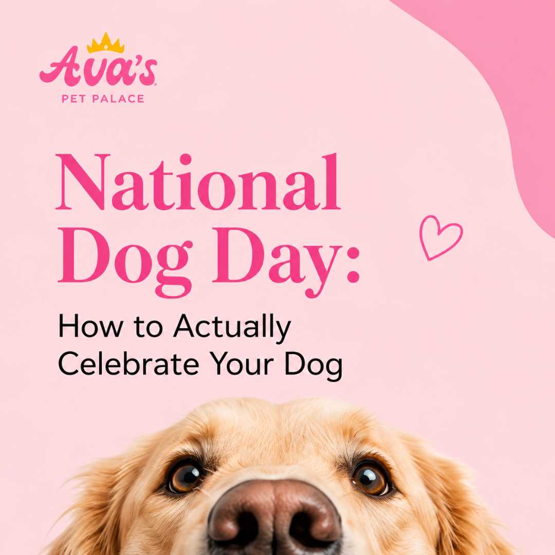 National Dog Day: How to Actually Celebrate Your Dog