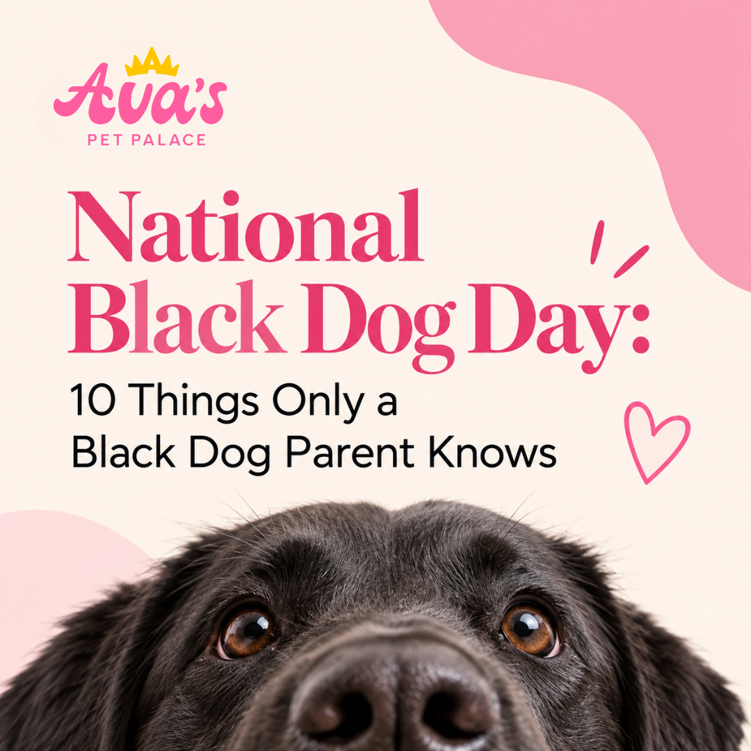 National Black Dog Day: 10 Things Only a Black Dog Parent Knows