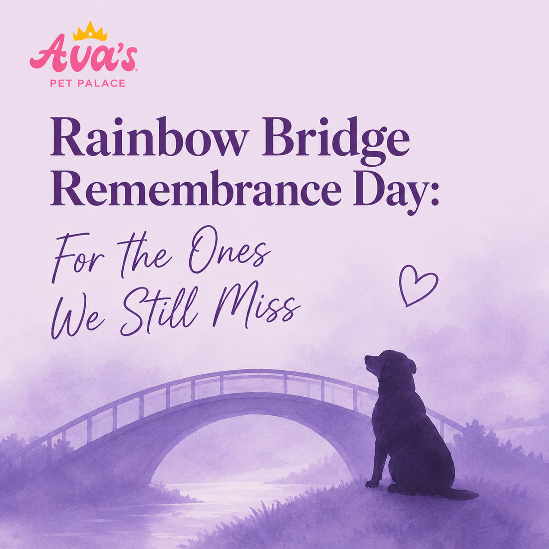 Rainbow Bridge Remembrance Day: For the Ones We Still Miss