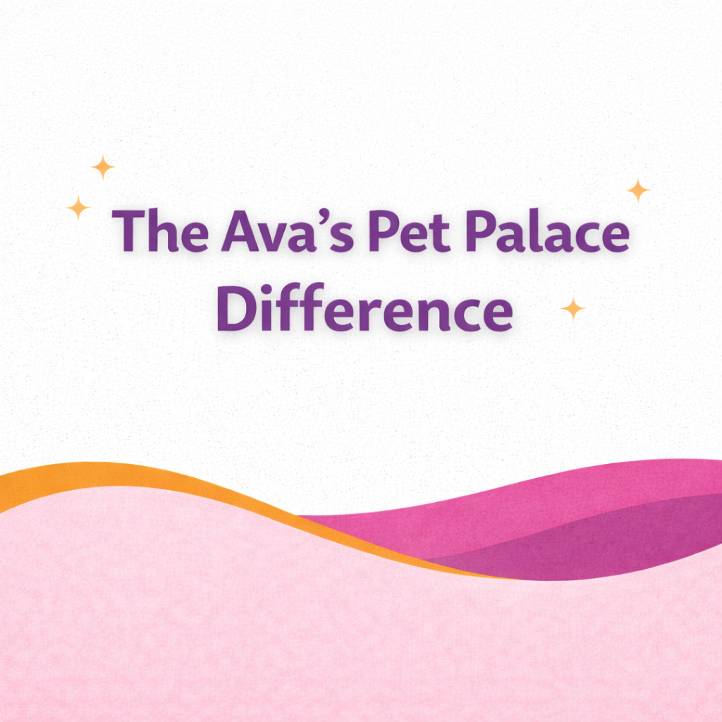 What Makes Ava’s Pet Palace Different From Other “Clean” Pet Brands