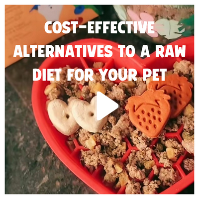 Cost-Effective Alternatives to a Raw Diet for Your Pet