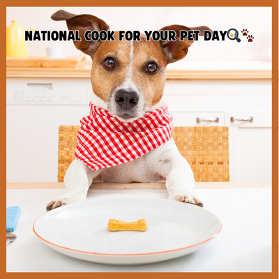 Celebrate National Cook for Your Pet Day with These Delicious & Healthy Recipes! 🍳🐾