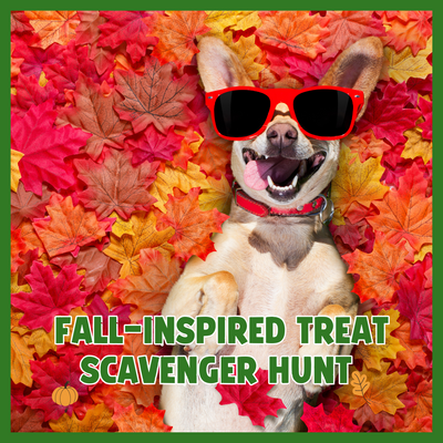 Fall-Inspired Treat Scavenger Hunt for Your Dog