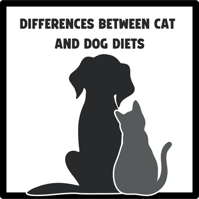 Understanding the Differences Between Cat and Dog Diets: A Short Guide to Healthy Treats