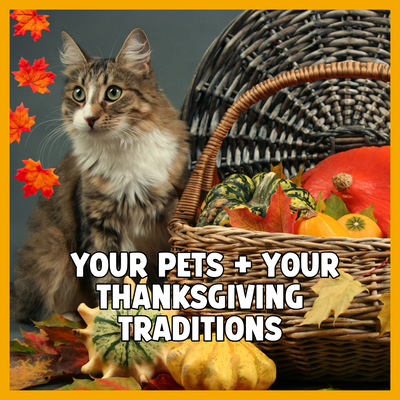 Fun Ways to Include Your Dog and Cat in Your Thanksgiving Traditions