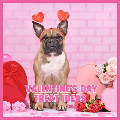 Valentine's Treat Ideas for Pets: Show Your Love with Healthy Snacks 💖🐶🐱