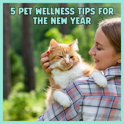 5 Pet Wellness Tips for the New Year 🐾✨