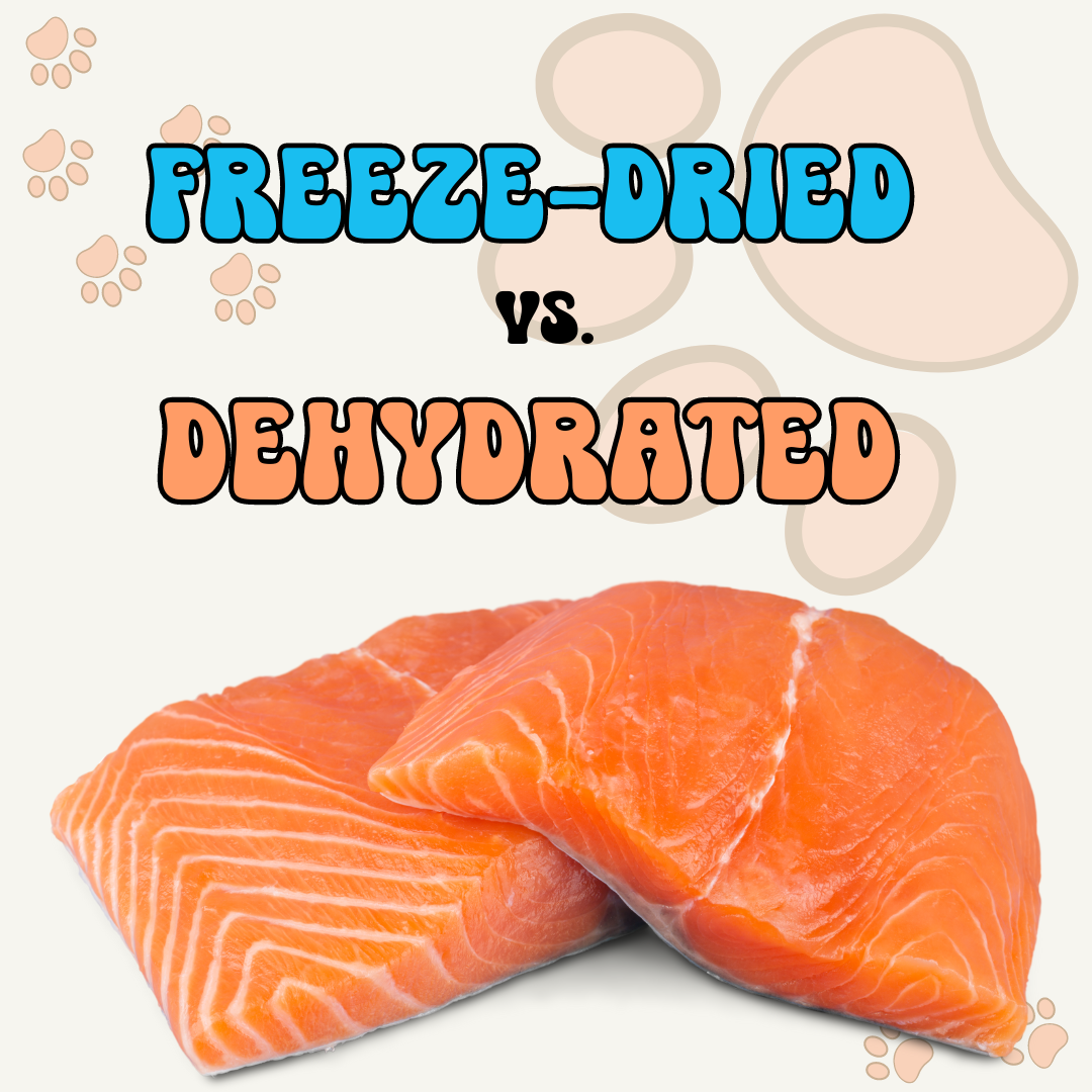Freeze-Dried vs. Dehydrated
