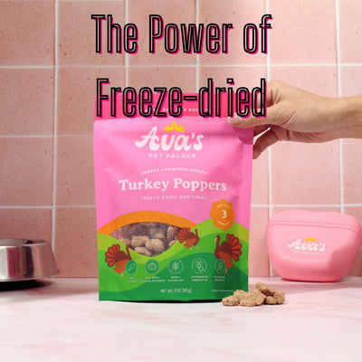 The Power of Freeze-Dried Dog Treats