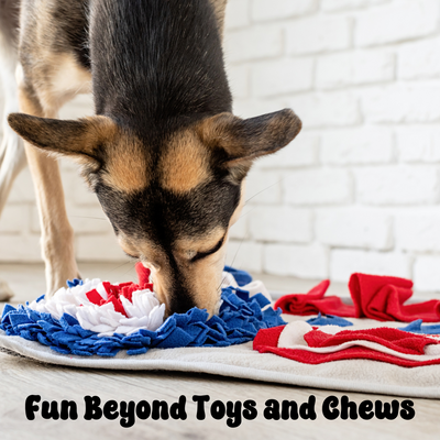 Engaging Your Unique Pet: Fun Beyond Toys and Chews