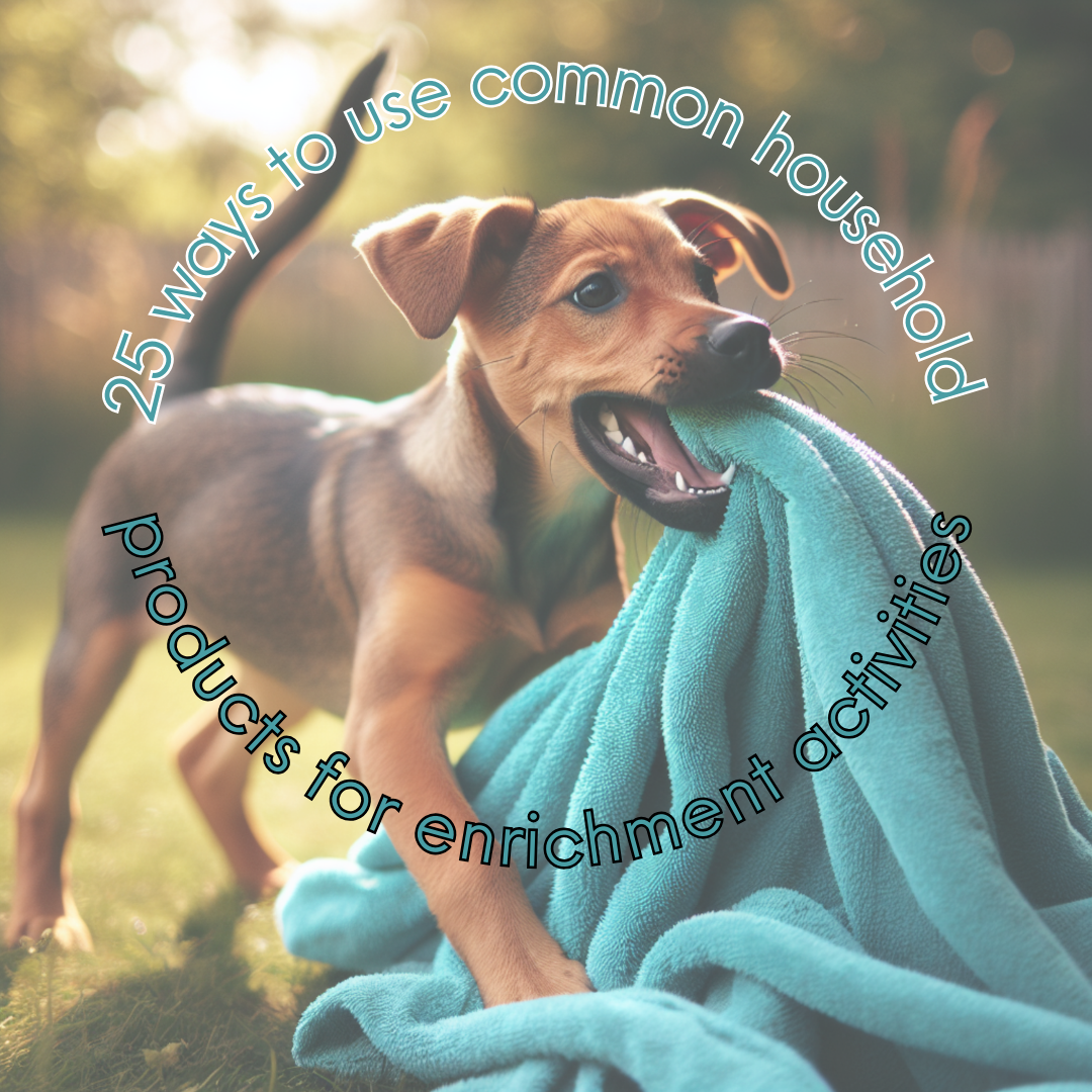 25 ways to use common household products for enrichment activities