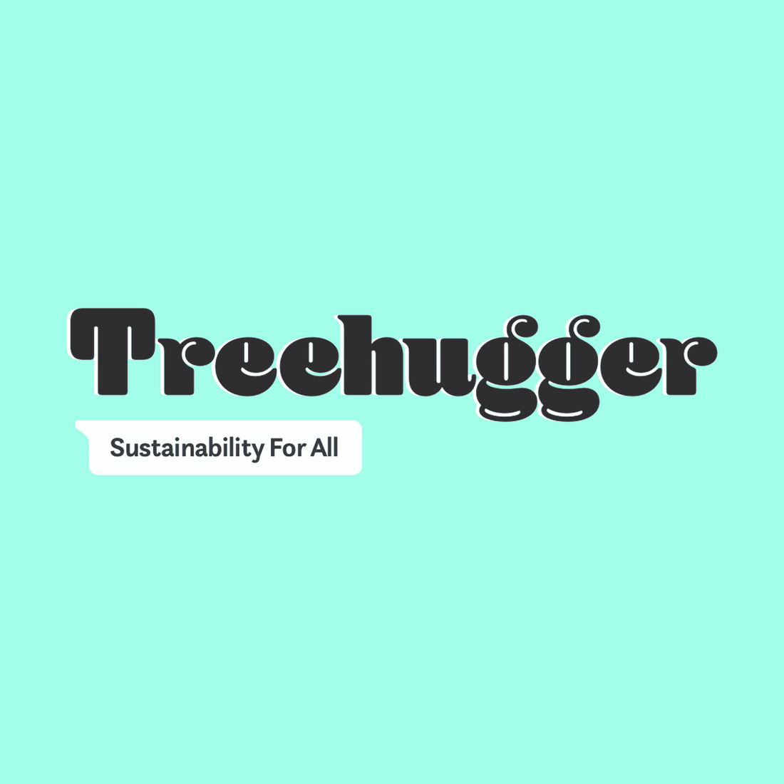 Treehugger Features Ava's Pet Palace!