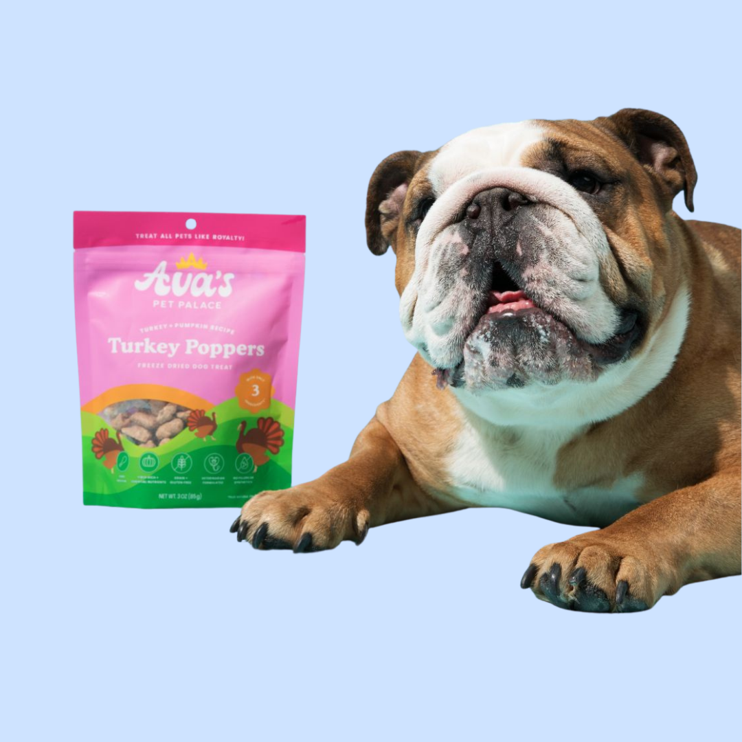 Freeze-Dried Treats