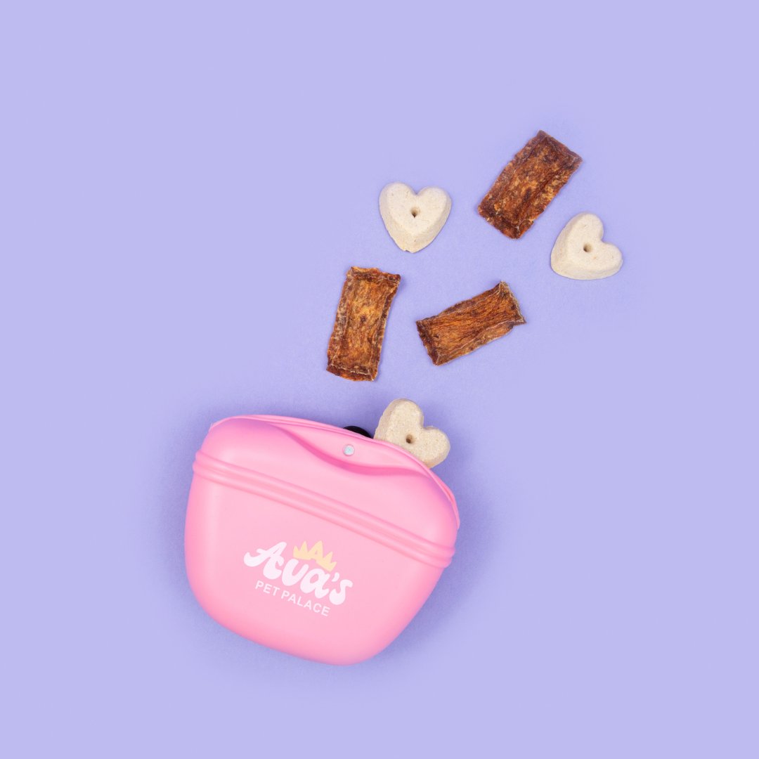treat dispenser pouch