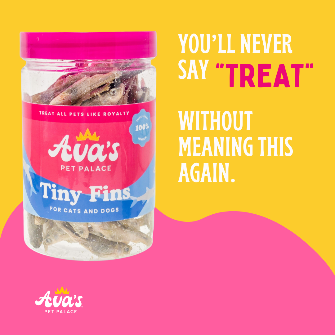 dry tiny fish in box Freeze Dried Minnows