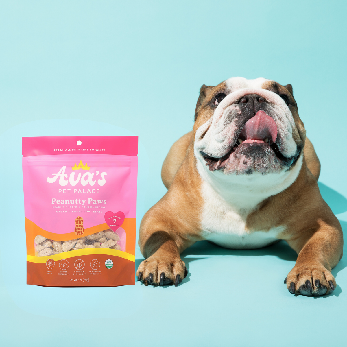 Organic Baked Dog Treats - Peanutty Paws