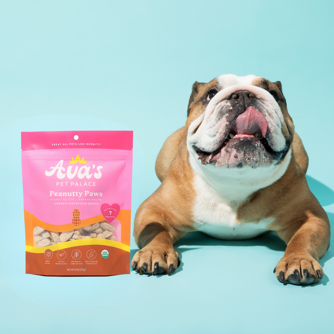 Pets at home ava puppy food best sale