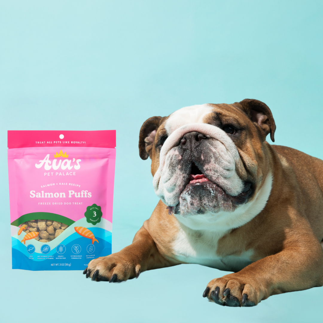 Freeze Dried Dog Treats Salmon Puffs Ava s Pet Palace