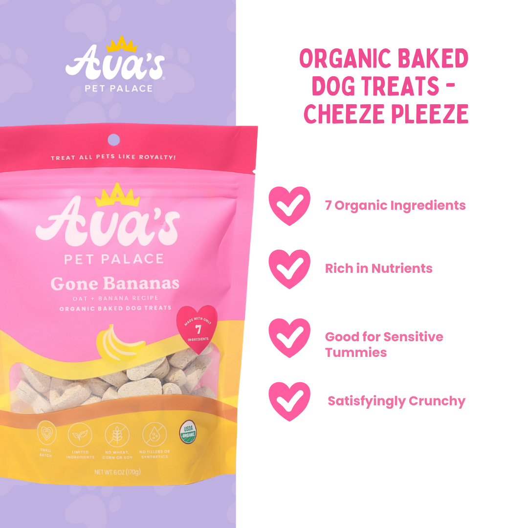 Lacy's Fav Picks Bundle Wild Salmon, Turkey & Pumpkin, Cheddar, Organic Banana & Oat Treats for Dogs