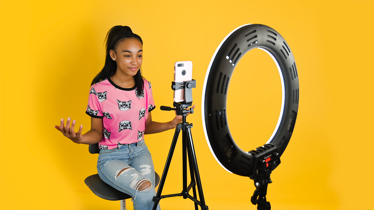 Ava's Pet Palace