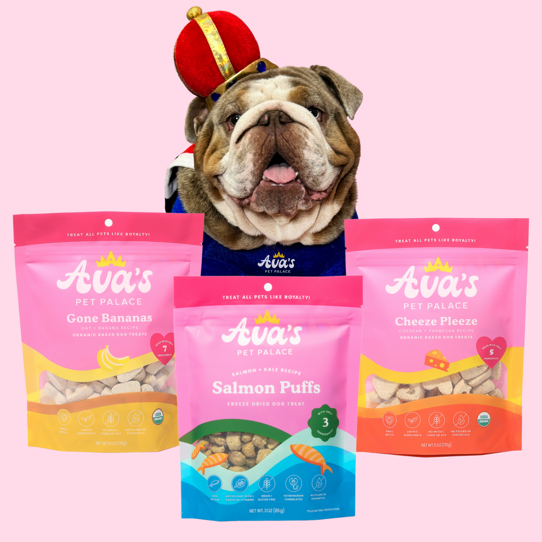 Koukie King Bundle – Ava's Pet Palace