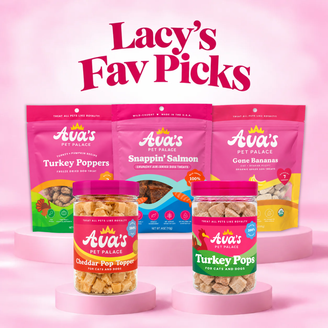 Lacy's Fav Picks Bundle Wild Salmon, Turkey & Pumpkin, Cheddar, Organic Banana & Oat Treats for Dogs