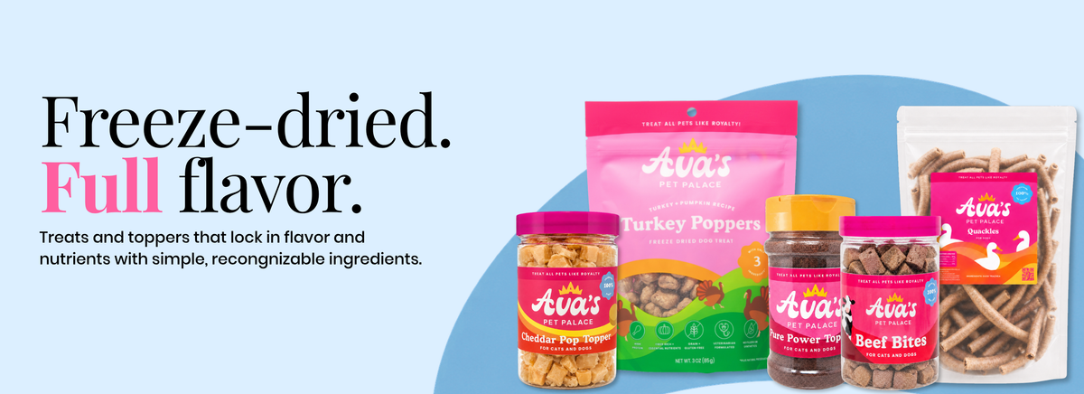 Freeze-Dried Treats