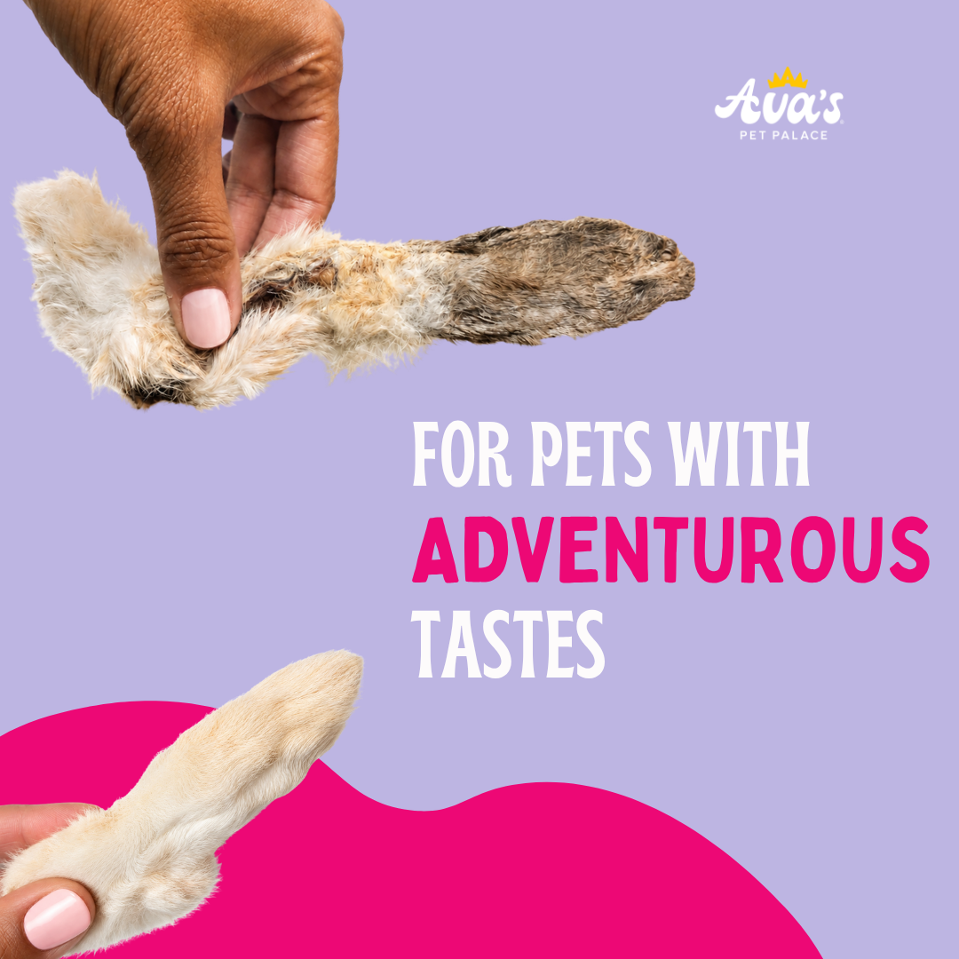 Dehydrated Rabbit Ears & Feet - Hoppy Snacks