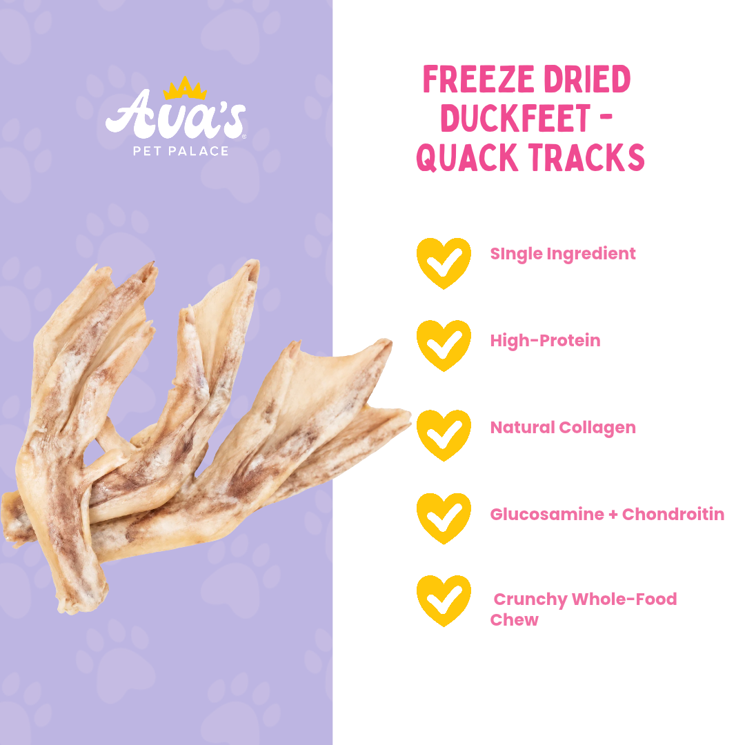 Quack Tracks freeze dried duck feet dog chews