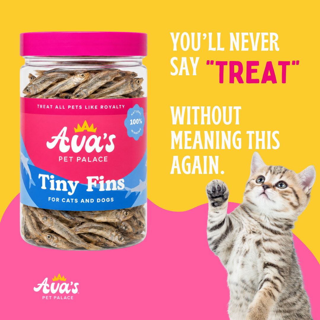Purr Pack Bundle Seafood Treats for Cats Shrimp, Minnows
