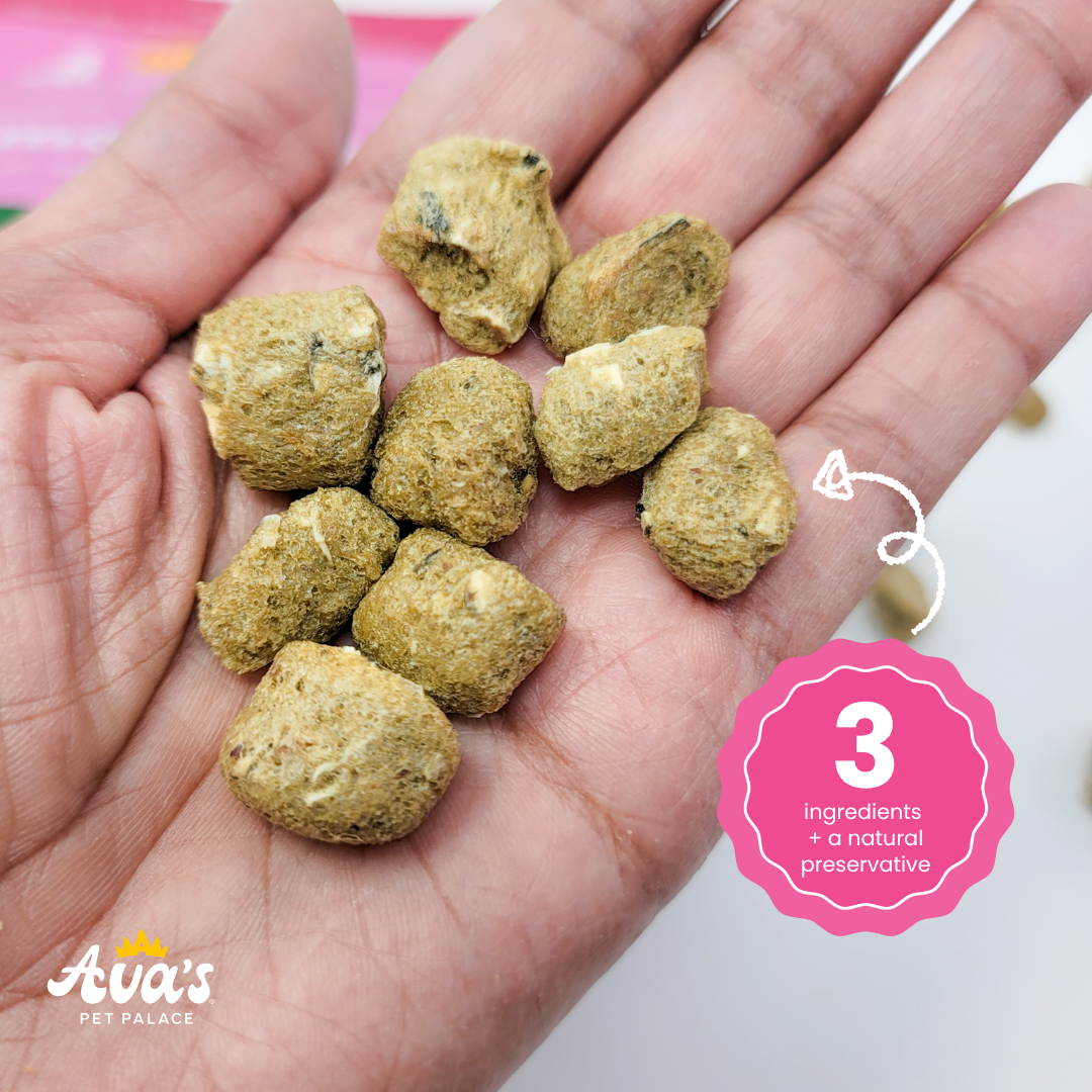 Power Pack - Protein Dog Treat Bundle