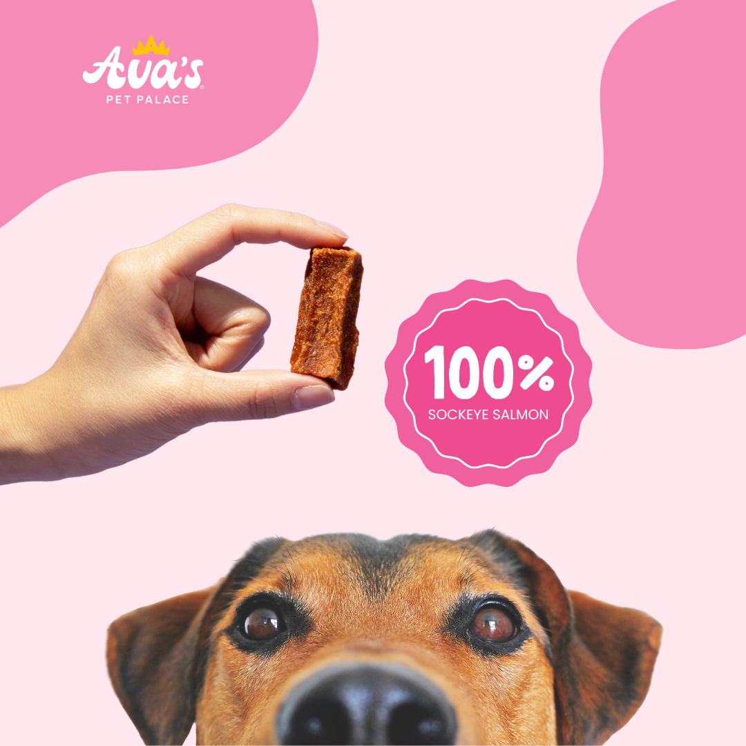 Power Pack - Protein Dog Treat Bundle
