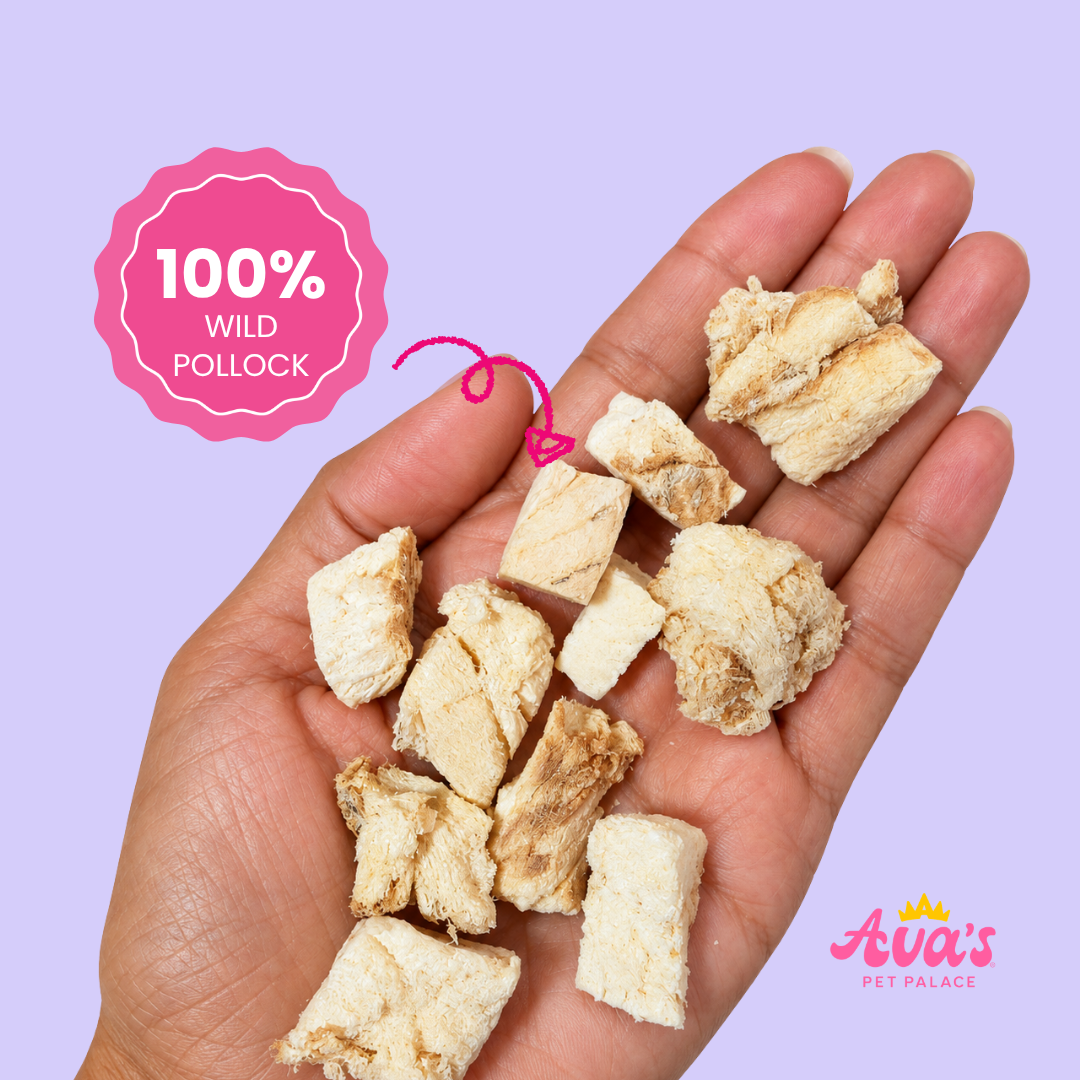 Pollock Pops freeze dried pollock fish dog treats
