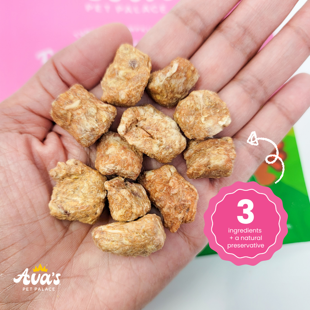 Power Pack - Protein Dog Treat Bundle